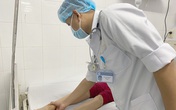 Hai người ở TP.HCM bị rắn lục đuôi đỏ cắn Hai người ở TP.HCM bị rắn lục đuôi đỏ cắn