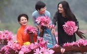 Trà My, Thanh Thanh Hiền và Thảo Vân khoe sắc bên hoa súng ở Tam Cốc Trà My, Thanh Thanh Hiền và Thảo Vân khoe sắc bên hoa súng ở Tam Cốc