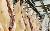 Hiếm có lịch sử: Món bình dân thành đắt đỏ, hàng Nga - Mỹ đổ về Việt Nam Hiếm có lịch sử: Món bình dân thành đắt đỏ, hàng Nga - Mỹ đổ về Việt Nam
