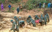 Tá hỏa phát hiện 2 thi thể nằm trên võng giữa rừng sâu Tá hỏa phát hiện 2 thi thể nằm trên võng giữa rừng sâu