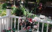 Đêm tân hôn, mẹ chồng đòi con dâu đưa lại 2 chỉ vàng cưới Đêm tân hôn, mẹ chồng đòi con dâu đưa lại 2 chỉ vàng cưới