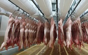 Phát hiện virus SARS-CoV-2 trên bao bì thực phẩm đông lạnh, Hà Nội yêu cầu siết chặt khâu kiểm soát Phát hiện virus SARS-CoV-2 trên bao bì thực phẩm đông lạnh, Hà Nội yêu cầu siết chặt khâu kiểm soát