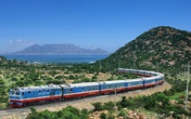 Tình hình vé máy bay, vé xe, vé tàu Tết giữa mùa đại dịch COVID-19 Tình hình vé máy bay, vé xe, vé tàu Tết giữa mùa đại dịch COVID-19