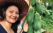 Kiều Trinh thu hoạch mỏi tay sau một năm làm vườn ở Bình Phước Kiều Trinh thu hoạch mỏi tay sau một năm làm vườn ở Bình Phước