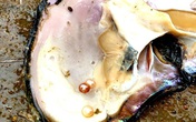 Kho ngọc quý giấu dưới bùn của anh thợ mộc trên Tây Nguyên Kho ngọc quý giấu dưới bùn của anh thợ mộc trên Tây Nguyên