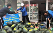 Hà Tĩnh: Đoàn thanh niên "giải cứu" dưa hấu, kiếm lời mua khẩu trang phát miễn phí Hà Tĩnh: Đoàn thanh niên "giải cứu" dưa hấu, kiếm lời mua khẩu trang phát miễn phí