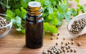 Ngỡ ngàng với tinh dầu mùi già hương thơm sát khuẩn khắp nhà, làm da đẹp trẻ trung Ngỡ ngàng với tinh dầu mùi già hương thơm sát khuẩn khắp nhà, làm da đẹp trẻ trung