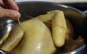 Luộc gà theo cách này, đảm bảo 100% không nứt da, thịt không đỏ lại còn khử sạch mùi hôi Luộc gà theo cách này, đảm bảo 100% không nứt da, thịt không đỏ lại còn khử sạch mùi hôi