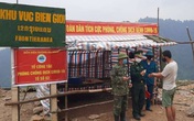 Bộ đội biên phòng Nghệ An canh dịch trên biên giới Bộ đội biên phòng Nghệ An canh dịch trên biên giới