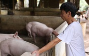 Ngành nông nghiệp chuẩn bị nguồn thực phẩm cung ứng cho người dân trong dịch COVID-19 ra sao? Ngành nông nghiệp chuẩn bị nguồn thực phẩm cung ứng cho người dân trong dịch COVID-19 ra sao?