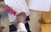 Bắt đối tượng vận chuyển thuê số lượng ma tuý cực lớn Bắt đối tượng vận chuyển thuê số lượng ma tuý cực lớn