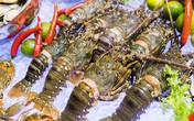 Hải sản trong nước giảm giá mạnh, có những loại chỉ thường xuất hiện ở nhà hàng giờ bán đầy chợ Hải sản trong nước giảm giá mạnh, có những loại chỉ thường xuất hiện ở nhà hàng giờ bán đầy chợ