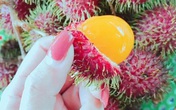 Chôm chôm vàng tưởng của nhà giàu sang chảnh, lại là quả dại ven rừng Chôm chôm vàng tưởng của nhà giàu sang chảnh, lại là quả dại ven rừng