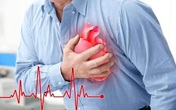 Định Áp Vương hỗ trợ phòng biến chứng tăng huyết áp bằng cách nào? Định Áp Vương hỗ trợ phòng biến chứng tăng huyết áp bằng cách nào?