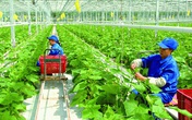 “Đầu tư công và tư nhân là cứu cánh của Hà Nội trong mùa dịch COVID-19” “Đầu tư công và tư nhân là cứu cánh của Hà Nội trong mùa dịch COVID-19”