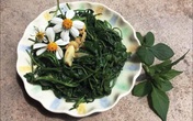 Thử ăn ngọn của loài cây mọc dại đầy ngoài đồng: Người ân hận, người lại khen ngon nức nở Thử ăn ngọn của loài cây mọc dại đầy ngoài đồng: Người ân hận, người lại khen ngon nức nở