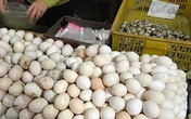 Trứng gà Việt Nam rớt giá chưa từng có, trái ngược với giá trứng tăng nhanh như giá vàng ở Mỹ Trứng gà Việt Nam rớt giá chưa từng có, trái ngược với giá trứng tăng nhanh như giá vàng ở Mỹ