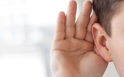 Giải pháp cải thiện điếc tai an toàn, hiệu quả từ thảo dược thiên nhiên Giải pháp cải thiện điếc tai an toàn, hiệu quả từ thảo dược thiên nhiên