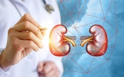 Bí quyết cải thiện suy thận mạn hiệu quả nhờ Ích Thận Vương Bí quyết cải thiện suy thận mạn hiệu quả nhờ Ích Thận Vương