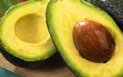 Cảnh giác với tác dụng phụ của quả bơ, nếu thuộc 1 trong nhóm người này thì không nên ăn Cảnh giác với tác dụng phụ của quả bơ, nếu thuộc 1 trong nhóm người này thì không nên ăn