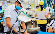 Đà Nẵng: Phát huy ý nghĩa thiết thực của bảo hiểm thất nghiệp Đà Nẵng: Phát huy ý nghĩa thiết thực của bảo hiểm thất nghiệp