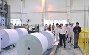 Bảo vệ môi trường - yếu tố "sống còn" của ngành giấy Bảo vệ môi trường - yếu tố "sống còn" của ngành giấy