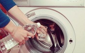 Mẹo vệ sinh máy giặt loại bỏ bám bẩn gây bệnh ở lớp cao su bằng nguyên liệu rẻ tiền trong nhà bếp Mẹo vệ sinh máy giặt loại bỏ bám bẩn gây bệnh ở lớp cao su bằng nguyên liệu rẻ tiền trong nhà bếp