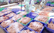 Hải sản giảm giá tới 50%, Hà Nội mong dân ‘giải cứu’ cá hồi, hàu Hải sản giảm giá tới 50%, Hà Nội mong dân ‘giải cứu’ cá hồi, hàu