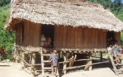 Gần 20 người dân tộc Mày bỏ bản trốn vào rừng vì sợ dịch COVID-19 Gần 20 người dân tộc Mày bỏ bản trốn vào rừng vì sợ dịch COVID-19