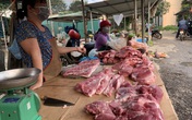 Giá thịt lợn đang "vô cảm" trước khó khăn chung bởi dịch bệnh? Giá thịt lợn đang "vô cảm" trước khó khăn chung bởi dịch bệnh?