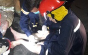 31 lính cứu hỏa bị axit văng vào người, mắt trong vụ cháy khu chế xuất 31 lính cứu hỏa bị axit văng vào người, mắt trong vụ cháy khu chế xuất