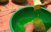 Sầu riêng nhúng thuốc đem đi bán: 'Không nhúng không dám bán' Sầu riêng nhúng thuốc đem đi bán: 'Không nhúng không dám bán'