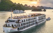 Quảng Ninh thay đổi hình thức, quy mô tổ chức du lịch hè vì COVID-19 Quảng Ninh thay đổi hình thức, quy mô tổ chức du lịch hè vì COVID-19