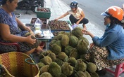 'Vua của các loại trái cây' đại hạ giá ở vỉa hè Sài Gòn, vì sao? 'Vua của các loại trái cây' đại hạ giá ở vỉa hè Sài Gòn, vì sao?