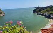 Hải Phòng: Cát Bà đã có khách sạn 5 sao đầu tiên Hải Phòng: Cát Bà đã có khách sạn 5 sao đầu tiên