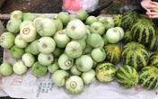 Đầu mùa, dưa lê, dưa bở bán đầy quốc lộ, giá chỉ 20-35 ngàn đồng/kg hút khách đi đường dừng lại mua cả xe ô tô Đầu mùa, dưa lê, dưa bở bán đầy quốc lộ, giá chỉ 20-35 ngàn đồng/kg hút khách đi đường dừng lại mua cả xe ô tô
