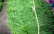 Đứng cách cả mét còn ngửi thấy mùi hôi, loại rau này lại đắt khách Đứng cách cả mét còn ngửi thấy mùi hôi, loại rau này lại đắt khách