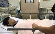 'Cây phượng đổ ngay trước mặt, con chạy không kịp' 'Cây phượng đổ ngay trước mặt, con chạy không kịp'