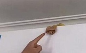 Bạn sẽ không bao giờ nghĩ ra được đặt một chiếc tất lên điều hòa lại có tác dụng kì diệu thế này Bạn sẽ không bao giờ nghĩ ra được đặt một chiếc tất lên điều hòa lại có tác dụng kì diệu thế này