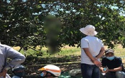 Cãi nhau với vợ, chồng vào nghĩa trang treo cổ tự tử Cãi nhau với vợ, chồng vào nghĩa trang treo cổ tự tử