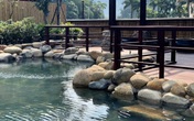 Hải Phòng, Quảng Ninh mở cửa biển trở lại Hải Phòng, Quảng Ninh mở cửa biển trở lại