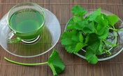 Rau má là tiên dược trời ban, là vàng trên mặt đất Rau má là tiên dược trời ban, là vàng trên mặt đất