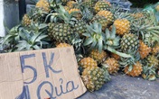 "Điểm danh" trái cây siêu rẻ bán ngập vỉa hè nhưng không rõ xuất xứ, chất lượng
