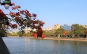 Khám phá những con đường đầy sắc hoa ở Hải Phòng Khám phá những con đường đầy sắc hoa ở Hải Phòng