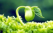 Khoa học chỉ ra phụ nữ Việt lão hóa nhanh và mạnh hơn phụ nữ các châu lục khác Khoa học chỉ ra phụ nữ Việt lão hóa nhanh và mạnh hơn phụ nữ các châu lục khác