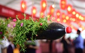 Trạng thái bình thường mới: Để rác thải chỉ là quá khứ Trạng thái bình thường mới: Để rác thải chỉ là quá khứ
