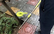 Hà Nội: Chổi lau nhà rơi từ tầng 5 chung cư cao cấp khiến bé trai vỡ đầu phải nhập viện Hà Nội: Chổi lau nhà rơi từ tầng 5 chung cư cao cấp khiến bé trai vỡ đầu phải nhập viện