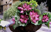 Chị bán hoa bật mí mẹo dễ nhất để phân biệt hoa sen và hoa quỳ tránh tiền mất mà rước cục tức vào người Chị bán hoa bật mí mẹo dễ nhất để phân biệt hoa sen và hoa quỳ tránh tiền mất mà rước cục tức vào người