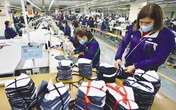 Giải quyết việc làm cho người lao động trước những thách thức mới hậu COVID-19 Giải quyết việc làm cho người lao động trước những thách thức mới hậu COVID-19