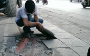 Hà Nội yêu cầu kiểm tra toàn bộ hoạt động lát đá vỉa vè Hà Nội yêu cầu kiểm tra toàn bộ hoạt động lát đá vỉa vè